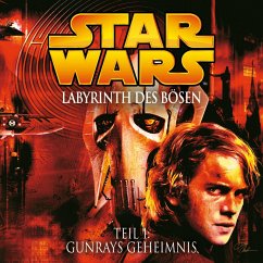 Labyrinth des Bösen - Teil 1: Gunrays Geheimnis (MP3-Download) - Luceno, James