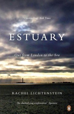 Estuary - Lichtenstein, Rachel