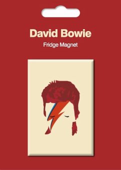 My World: Magnet - Pop Art (Aladdin Sane)