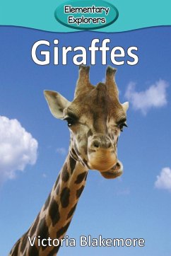 Giraffes - Blakemore, Victoria