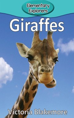 Giraffes - Blakemore, Victoria