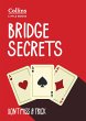 Bridge Secrets - Bild 1