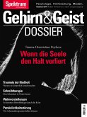 Wenn die Seele den Halt verliert (eBook, ePUB)