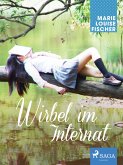 Wirbel im Internat (eBook, ePUB)