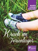 Krach im Ferienlager (eBook, ePUB)