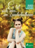 Es tut sich was im Landschulheim (eBook, ePUB)