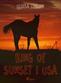 King of Sunset i USA (eBook, ePUB)