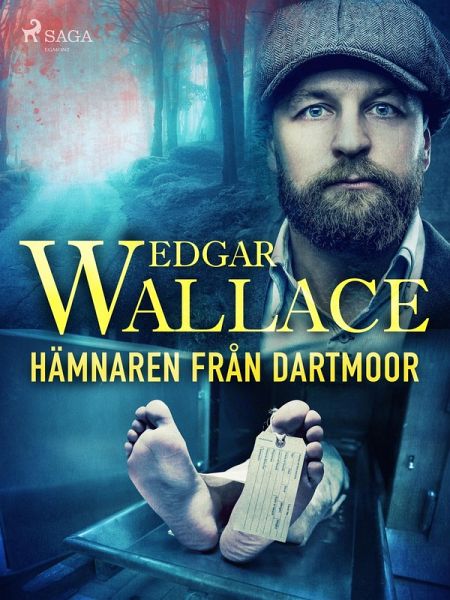 Hämnaren från Dartmoor (eBook, ePUB) Hämnaren från Dartmoor (eBook, ePUB)