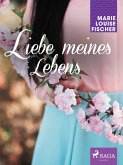 Liebe meines Lebens (eBook, ePUB)