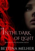 In the Dark of Light (The Light Keepers Trilogy, #1) (eBook, ePUB)