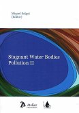 Stagnant water bodies pollution II