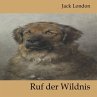 Ruf der Wildnis - Bild 1
