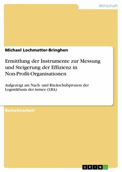 Ermittlung der Instrumente zur Messung und Steigerung der Effizienz in Non-Profit-Organisationen - Lochmatter-Bringhen, Michael