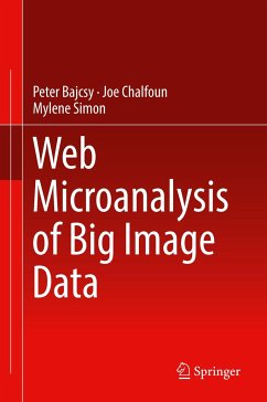 Web Microanalysis of Big Image Data - Bajcsy, Peter;Chalfoun, Joe;Simon, Mylene
