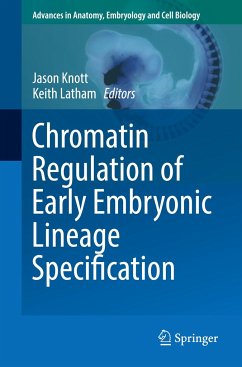 Chromatin Regulation of Early Embryonic Lineage Specification