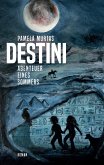 Destini (eBook, ePUB)