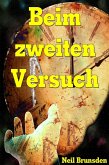 Beim zweiten Versuch (eBook, ePUB)