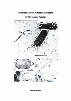 Antibiotika und Antibiotika-Resistenz - Mayer, Frank