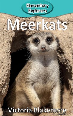 Meerkats - Blakemore, Victoria