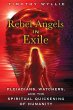 Rebel Angels in Exile (eBook, ePUB) - Bild 1