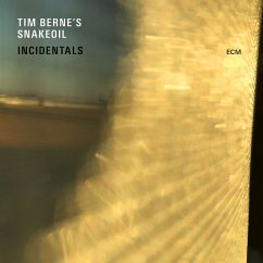 Incidentals - Snakeoil,Tim Bernes