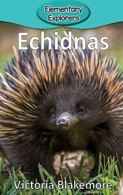 Echidnas - Blakemore, Victoria