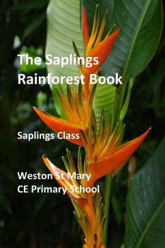 The Saplings Rainforest Book - (Saplings Class), Weston St Mary School