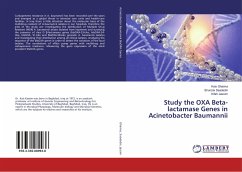 Study the OXA Beta-lactamase Genes in Acinetobacter Baumannii