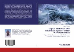 Digital, statistical and wavelet analysis of water wave turbulence