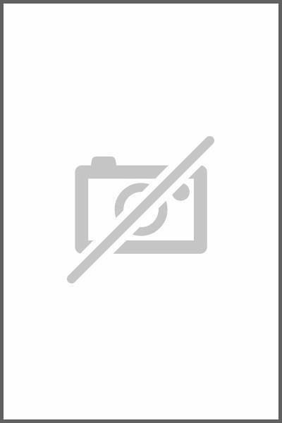 Married to the Brand (eBook, ePUB) Married to the Brand (eBook, ePUB)