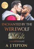 Enchanted by the Werewolf (Werewolves of Singer Valley, #2) (eBook, ePUB)