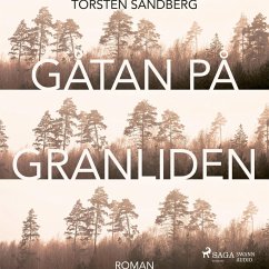 Cover Gåtan på Granliden (MP3-Download)