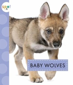 Baby Wolves - Kelley, K C