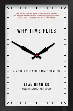 Why Time Flies - Burdick, Alan