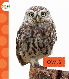 Owls - Dieker, Wendy Strobel