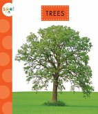 Trees Trees