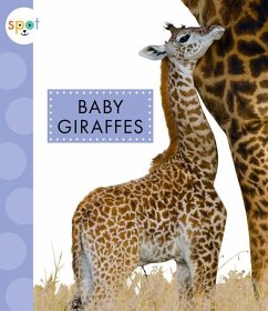 Baby Giraffes - Kelley, K C