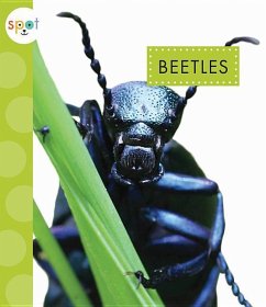 Beetles - Black, Nessa