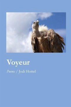 Voyeur - Hottel, Jodi