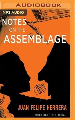 Notes on the Assemblage - Herrera, Juan Felipe