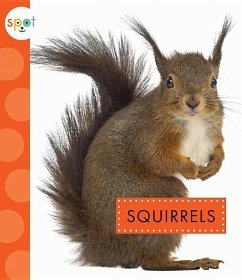 Squirrels - Dieker, Wendy Strobel