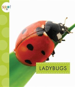 Ladybugs - Black, Nessa