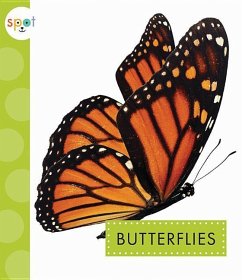 Butterflies - Bach, Rachel