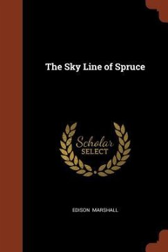 The Sky Line of Spruce - Marshall, Edison