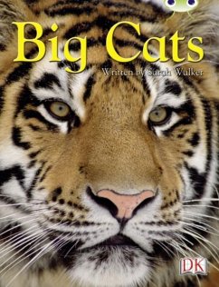 Cover BC NF Brown B/3B Big Cats