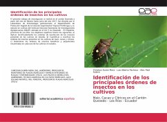 Identificación de los principales órdenes de insectos en los cultivos