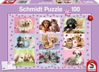 Schmidt 56268 - Puzzle, Meine Tierfreunde, Kinderpuzzle, 100 Teile