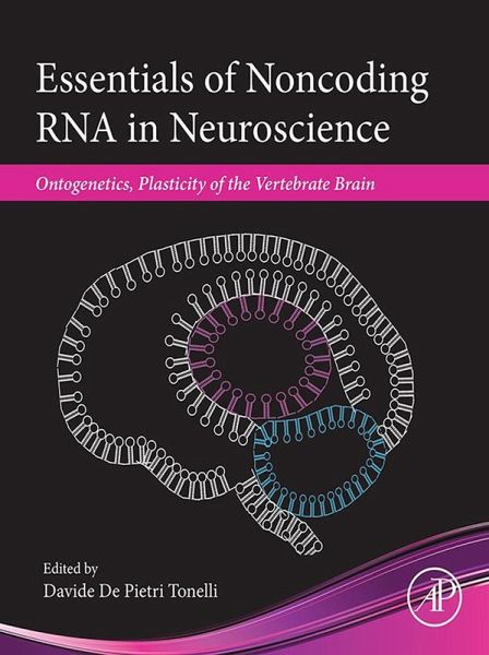 Essentials of Noncoding RNA in Neuroscience (eBook, ePUB) Essentials of Noncoding RNA in Neuroscience (eBook, ePUB)