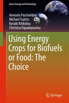 Using Energy Crops for Biofuels or Food: the Choice - Paschalidou, Annoula;Tsatiris, Michael;Kitikidou, Kyriaki