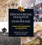 Dinosourusse, diamante & demokrasie (eBook, ePUB)